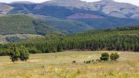 Mountain Biking | Misty Mountain