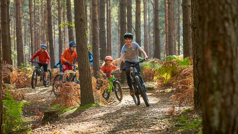 Mountain Biking | Misty Mountain