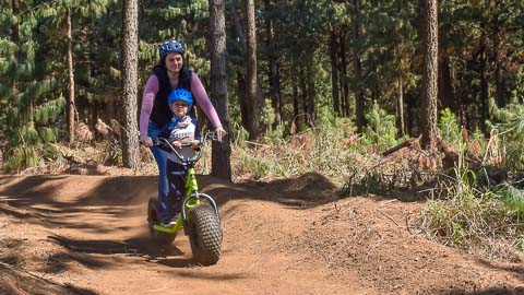 Long Tom Scootours | Misty Mountain