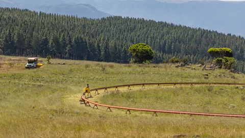 Long Tom Toboggan | Misty Mountain
