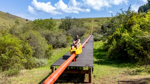 Long Tom Toboggan | Misty Mountain