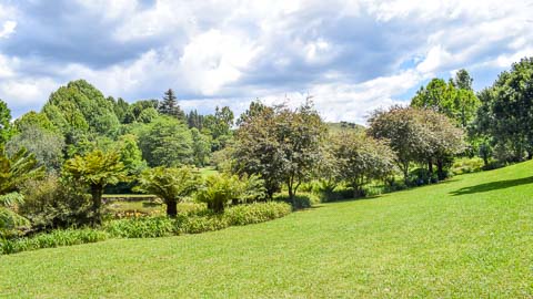 Gardens | Misty Mountain