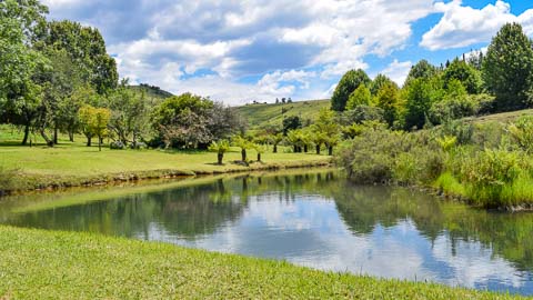 Gardens | Misty Mountain