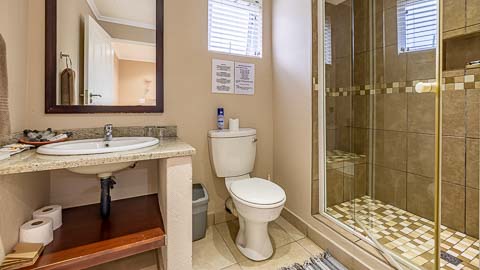 Double-Volume Family Units | 6 Sleeper | Misty Mountain